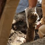 Martyred officers' remains at Pilkhana - Feb 2009